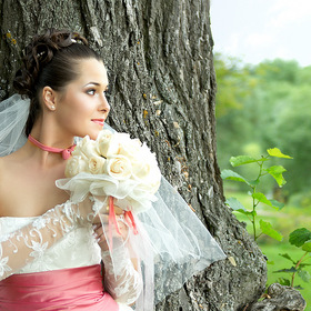 Невеста у дерева